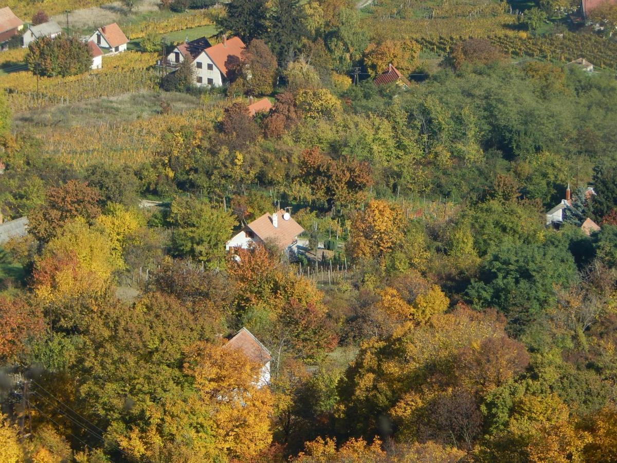 Sárkányles Vendégház Kisapati Extérieur photo