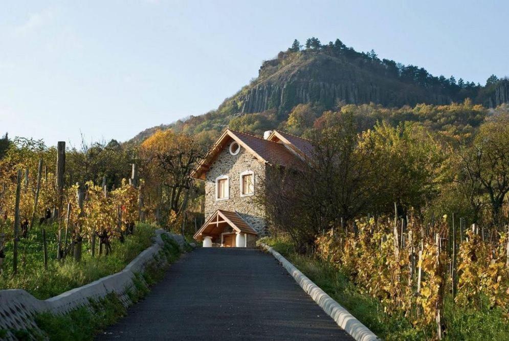 Sárkányles Vendégház Kisapati Extérieur photo