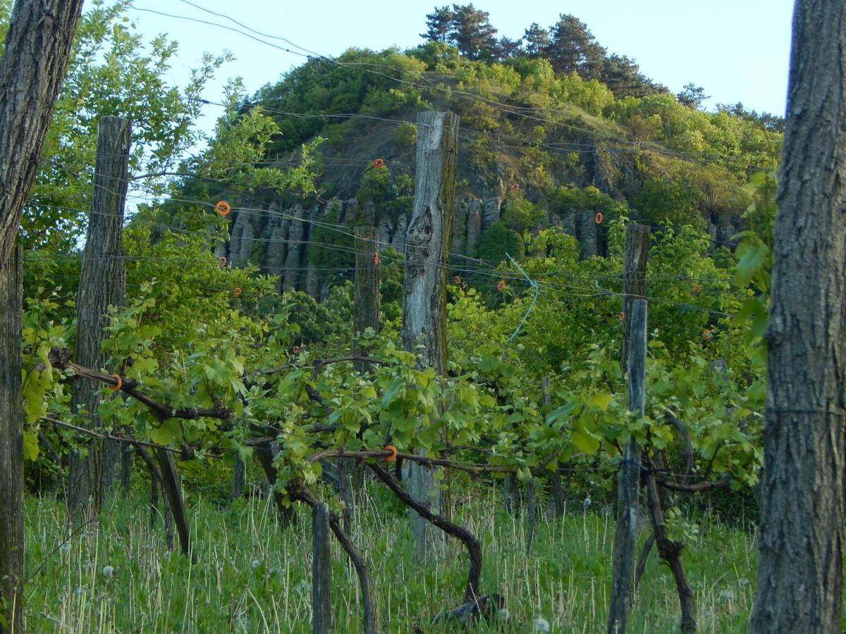 Sárkányles Vendégház Kisapati Extérieur photo